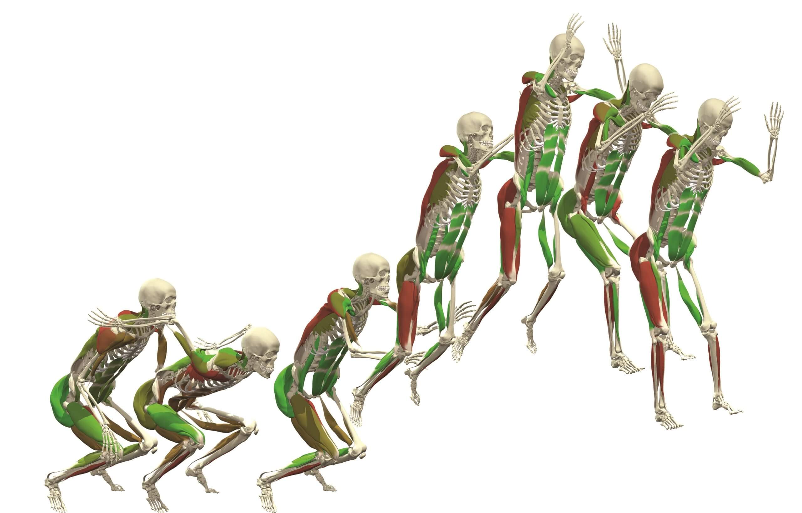 jumping skeleton