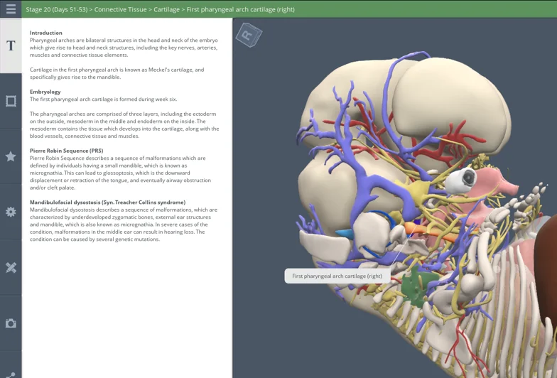 3D Real-time Embryology - instructional text