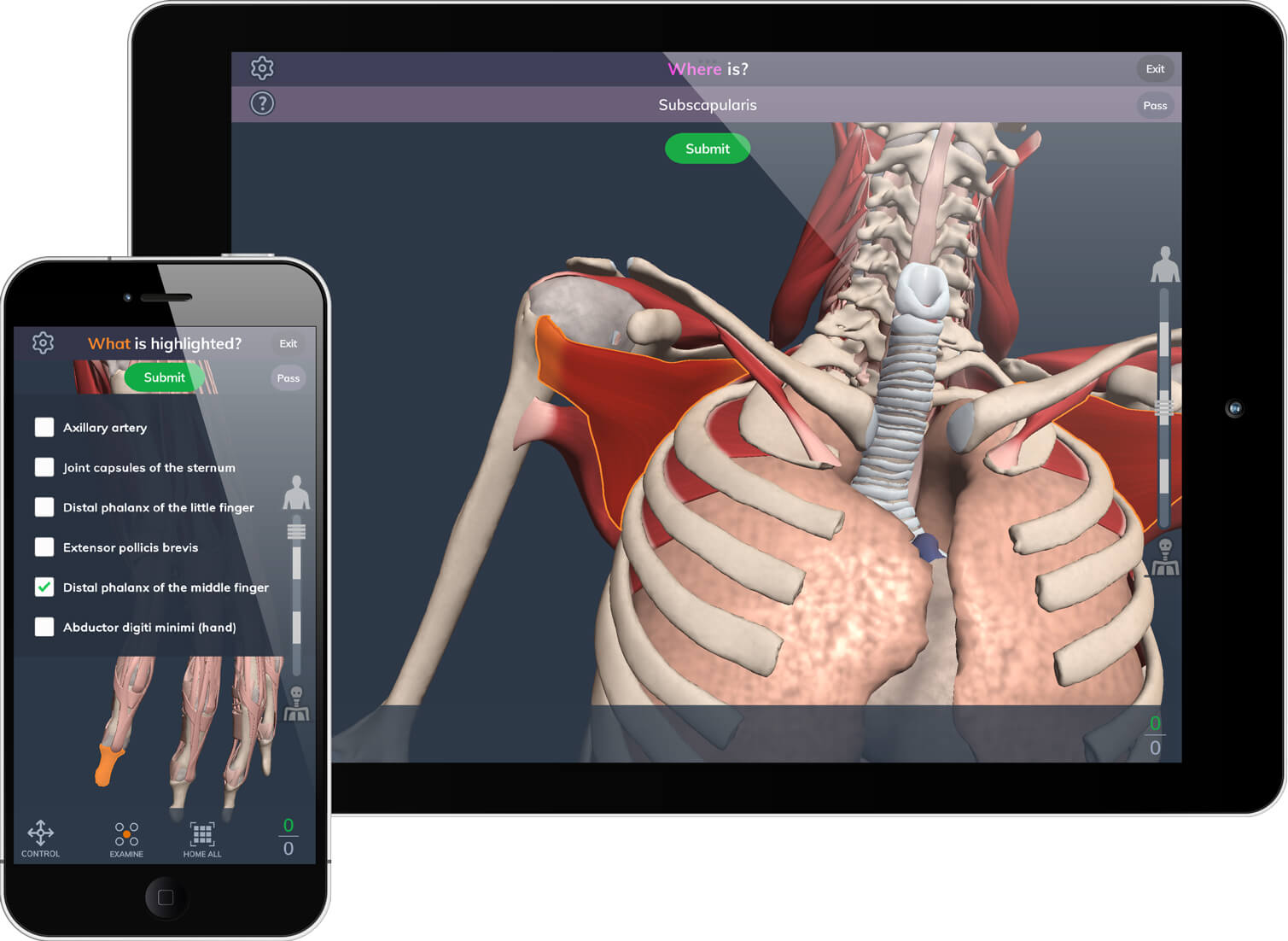 Choose Accurate image